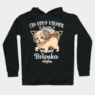 I'm only talking to my Bolonka Hoodie